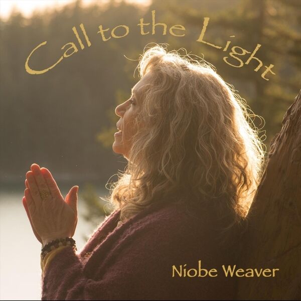 Cover art for Call to the Light